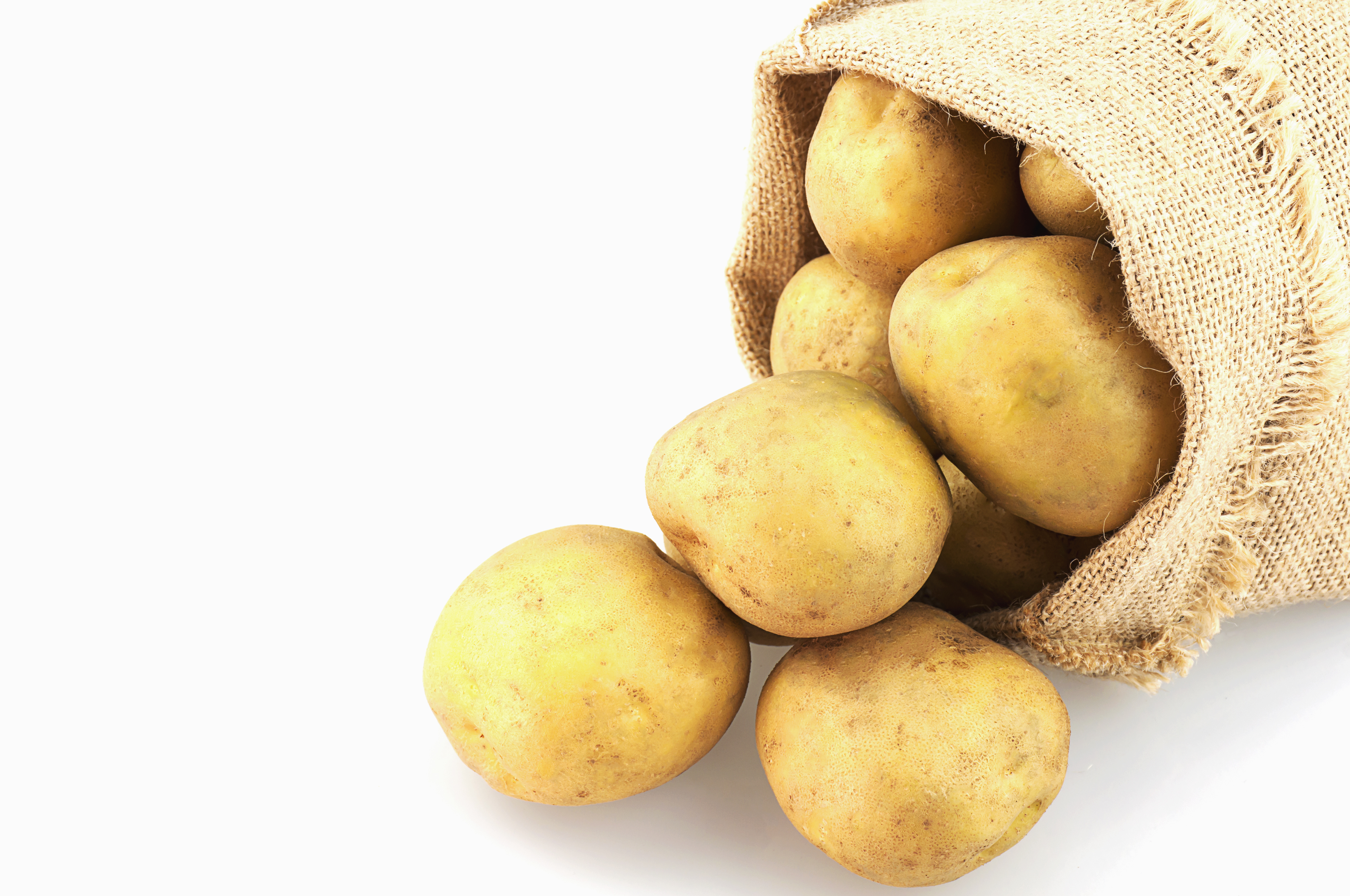 agriculture, food, fresh-72254.jpg
